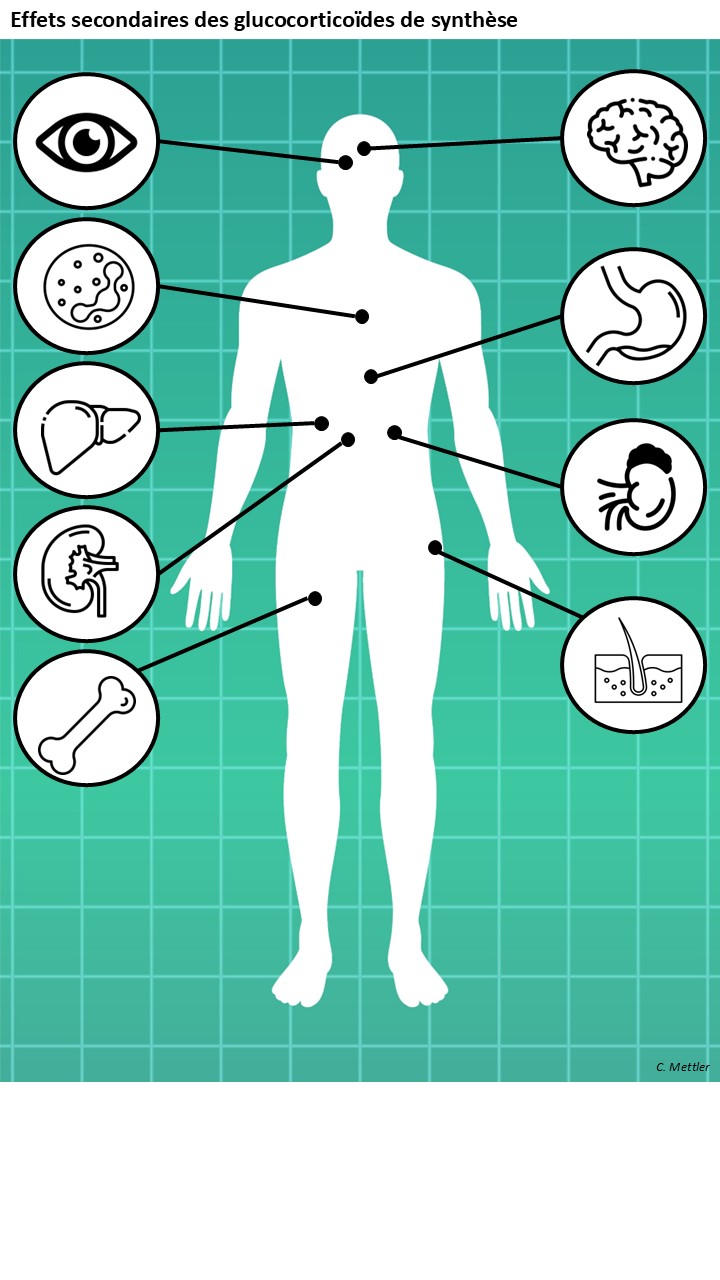 Axe corticosurrénalien